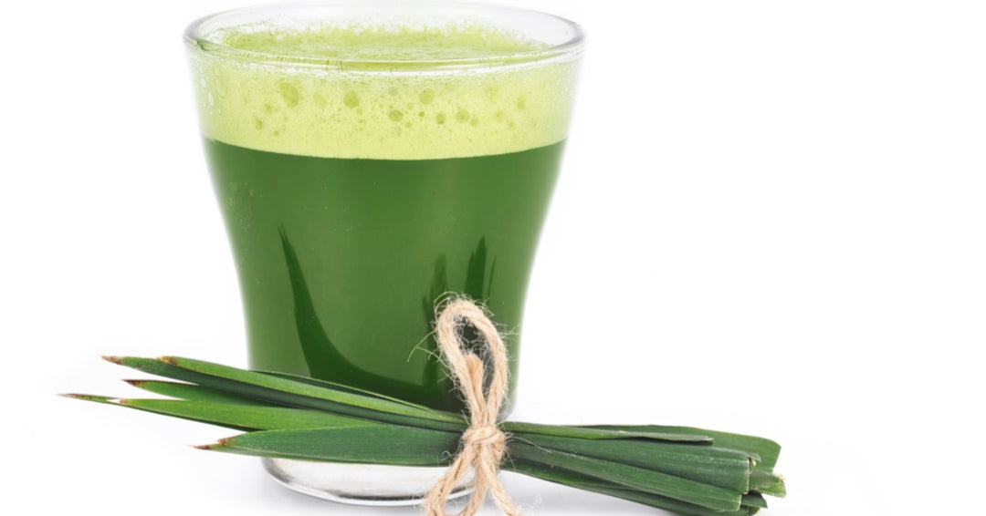 NZ Barley Grass Powder (BioGro Certified Organic)