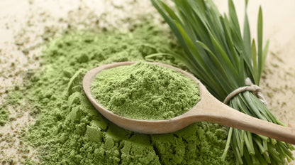 NZ Barley Grass Powder (BioGro Certified Organic)