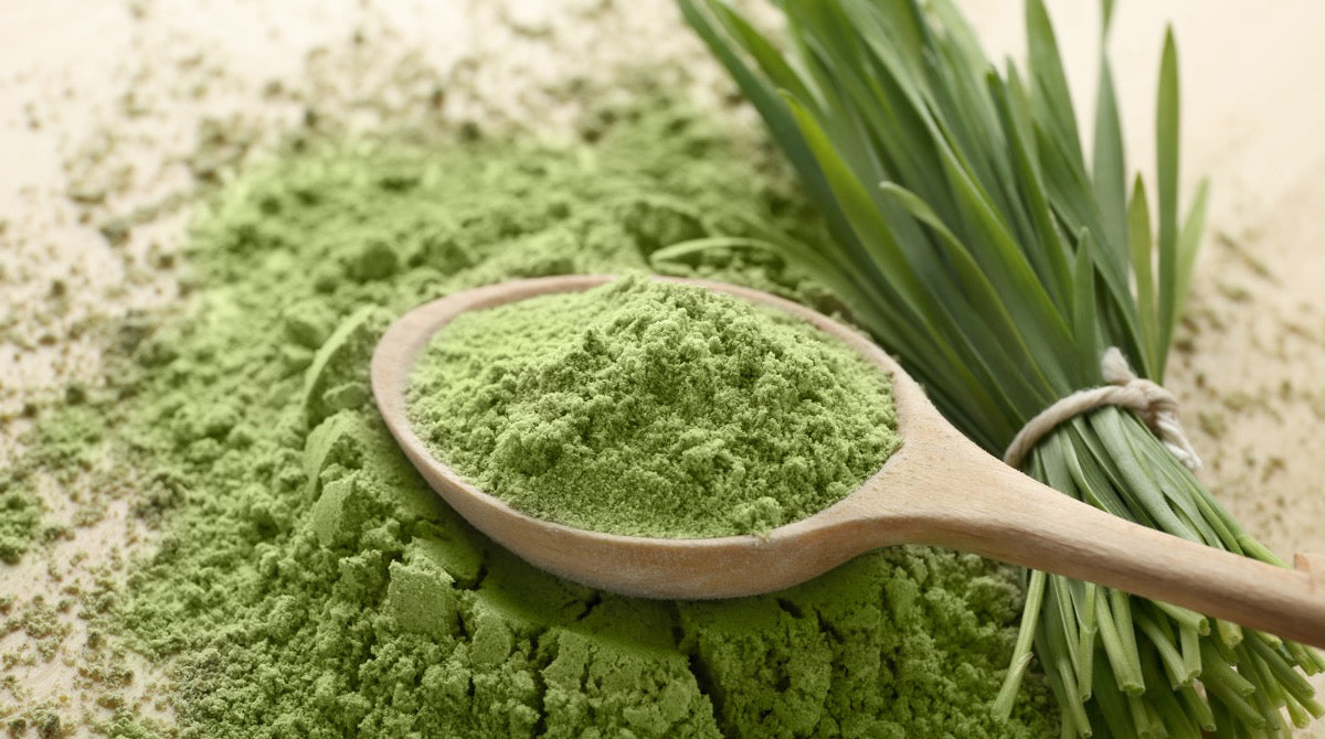 NZ Barley Grass 100 Capsules